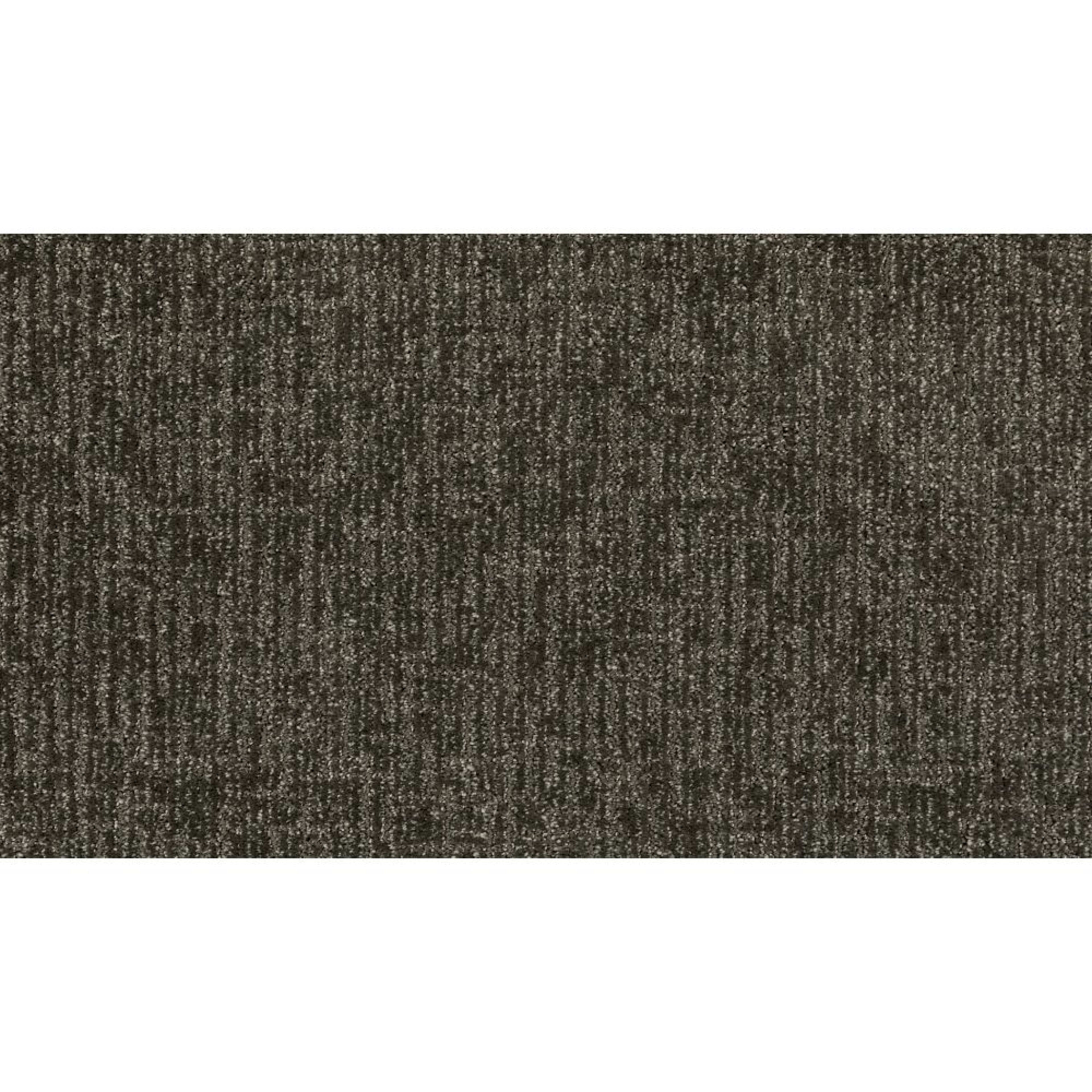 Modern Texture in Shadow Carpet