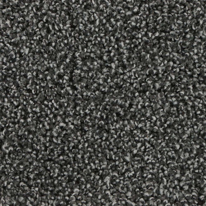 Graceful Intrigue in Indigo Carpet