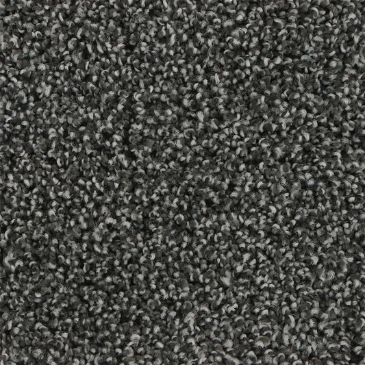 Graceful Intrigue in Indigo Carpet