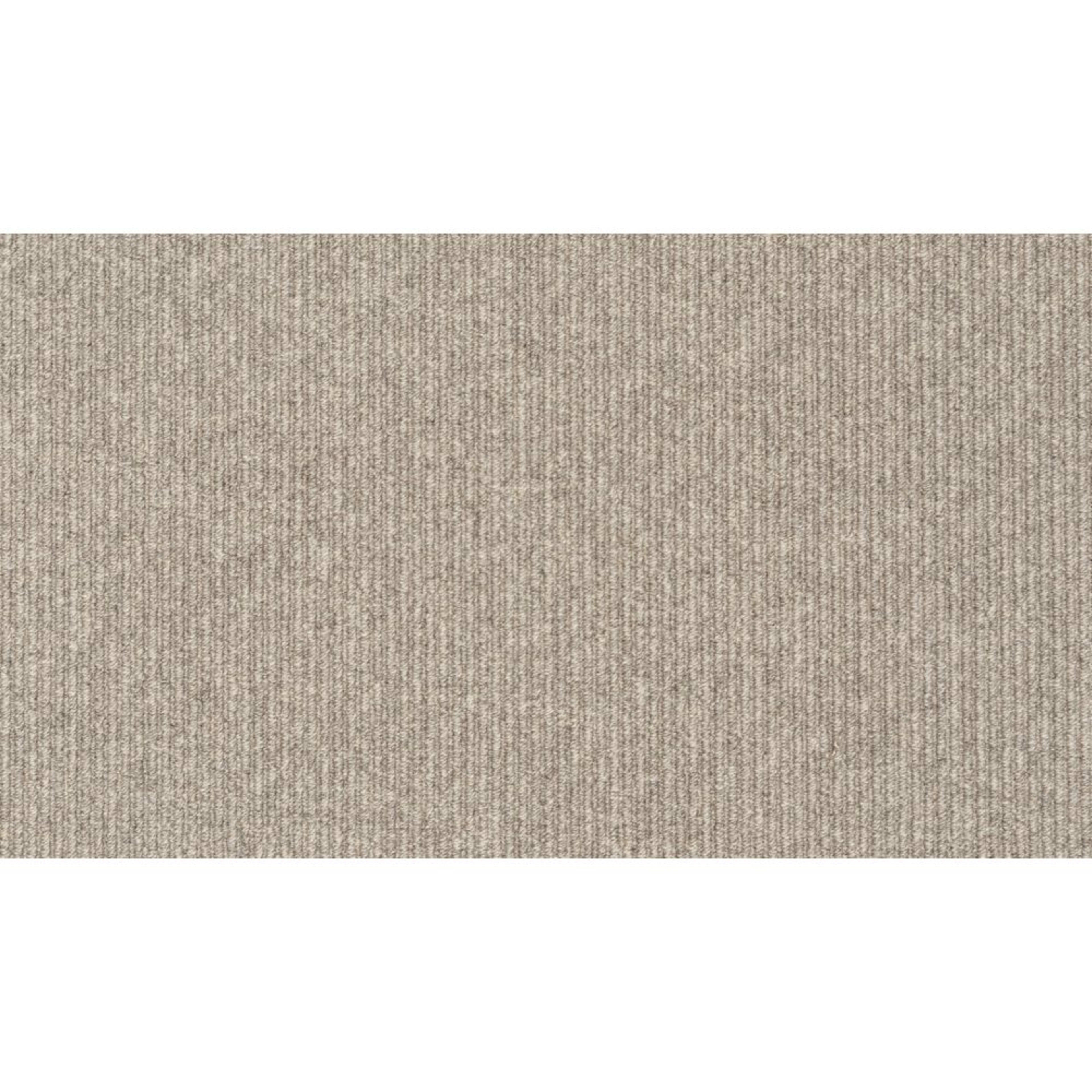 Tiburon II in Slate Carpet