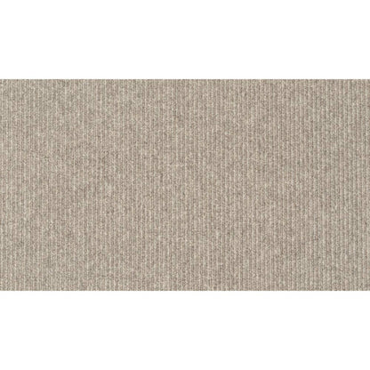 Tiburon II in Slate Carpet