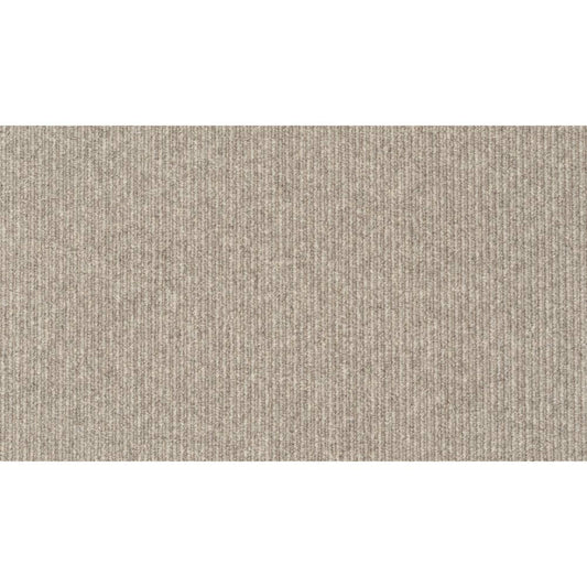 Tiburon II in Slate Carpet