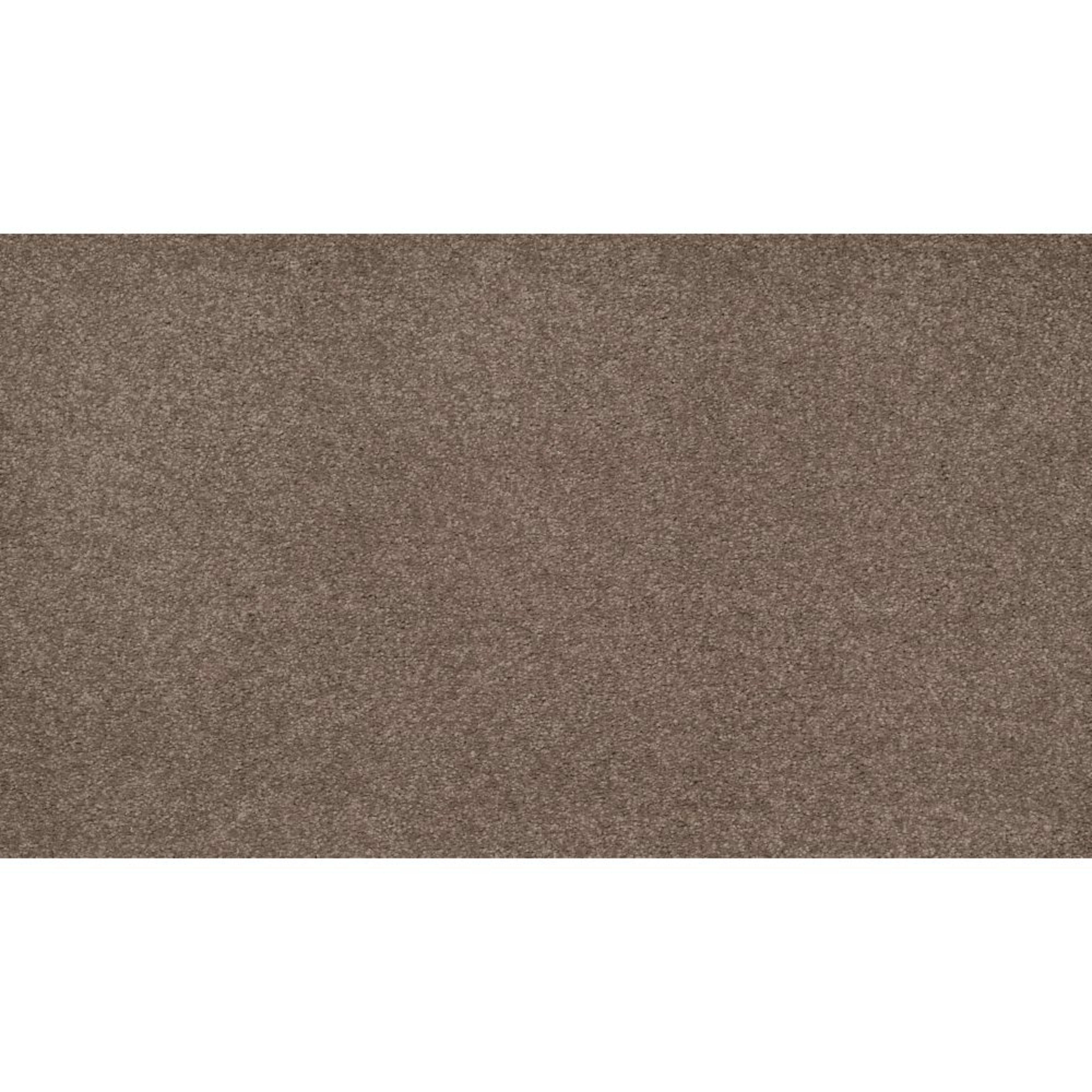 Opulent Tradition in Retreat Carpet