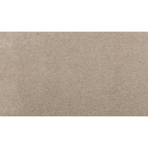 Luxurious Hues in Carmelita