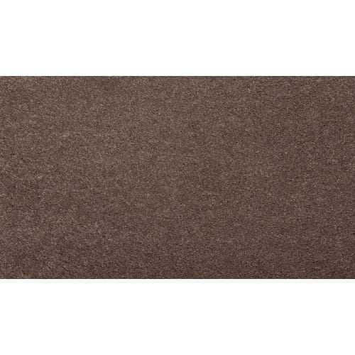 Luxurious Hues in Lush Suede