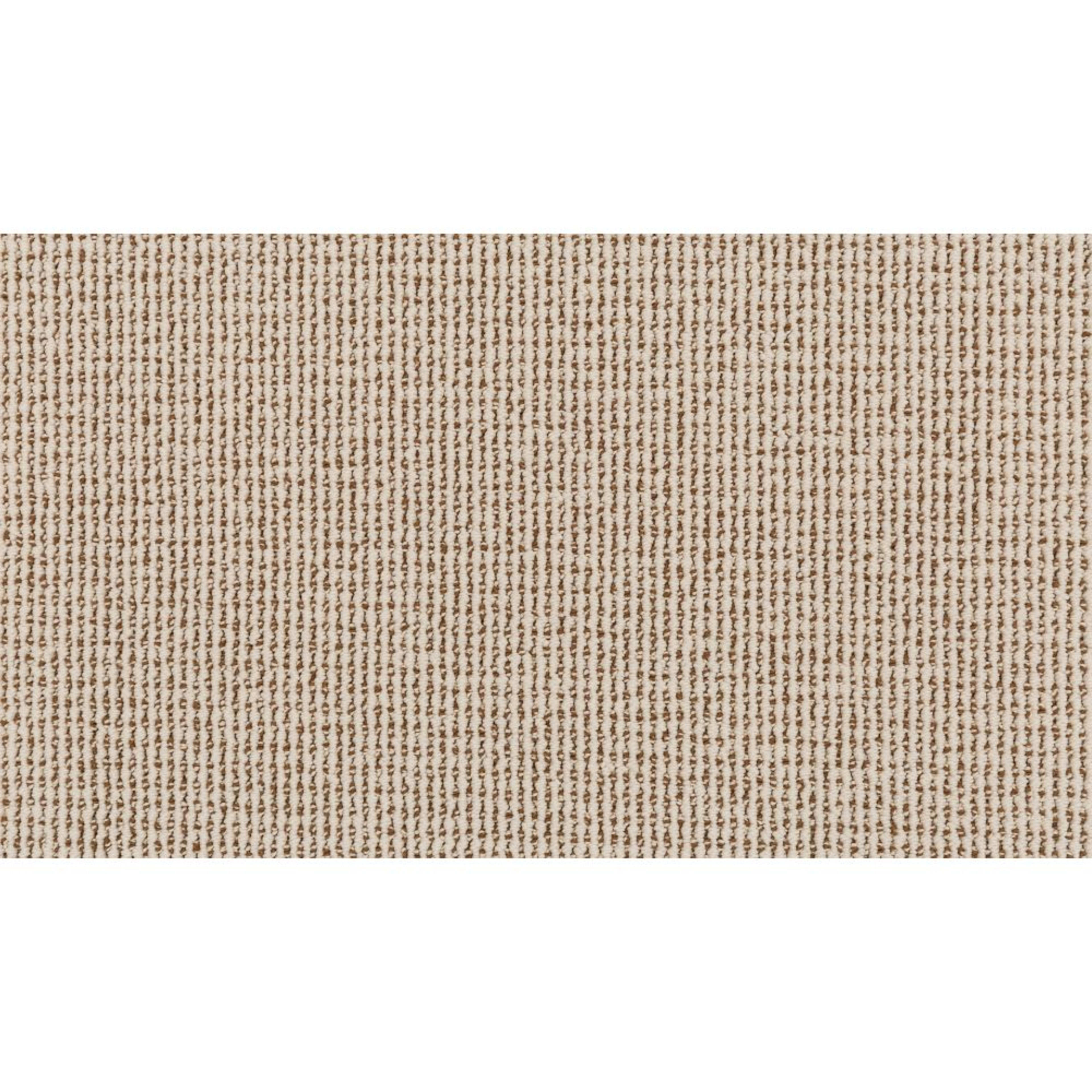 Curated Approach in Modal Carpet