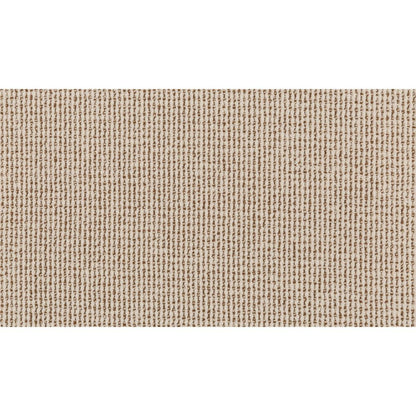 Curated Approach in Modal Carpet