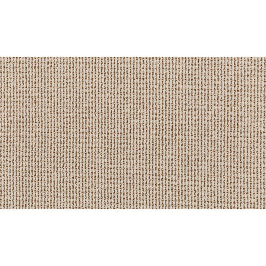 Curated Approach in Modal Carpet