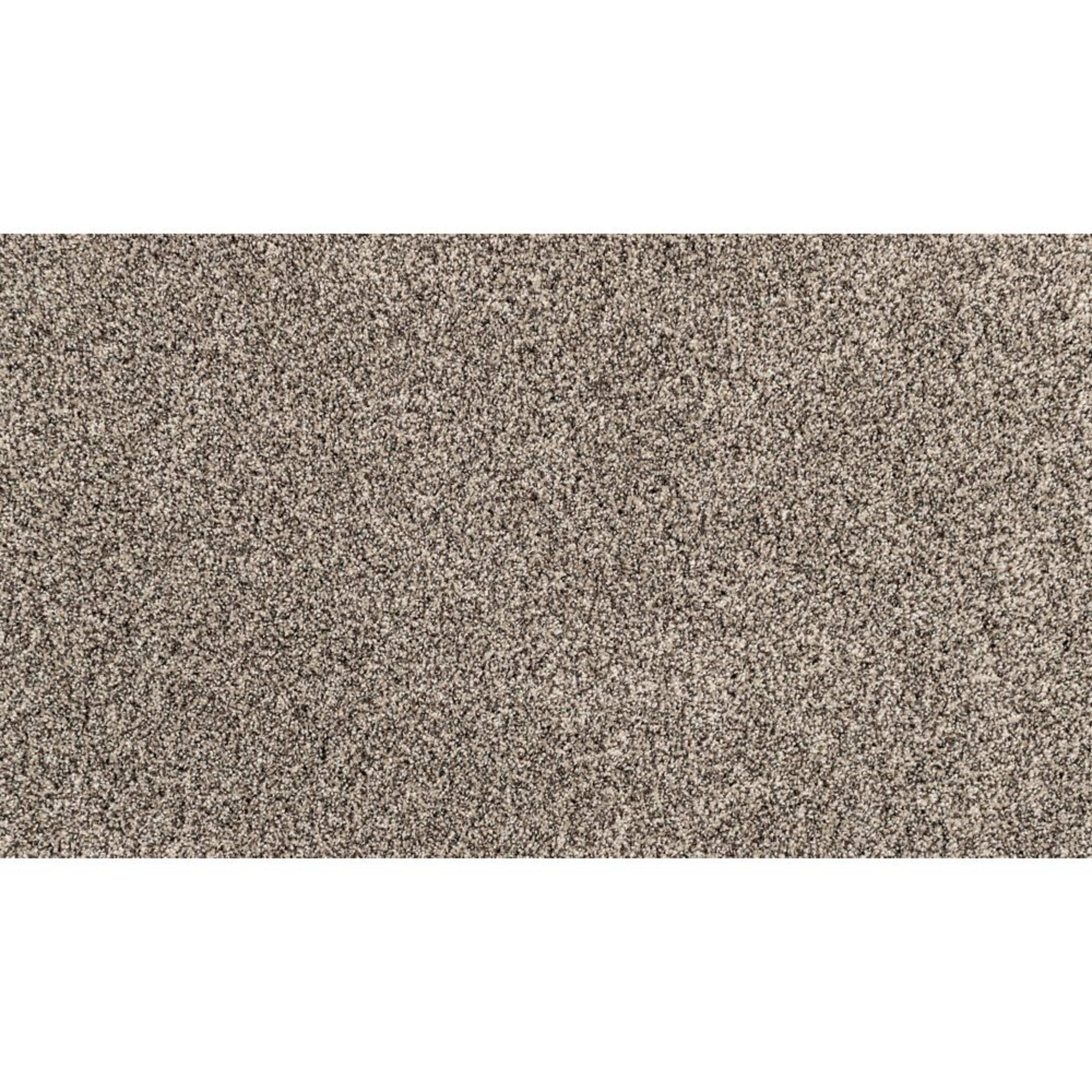Candor in Versatile Carpet