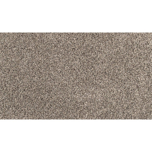 Candor in Versatile Carpet