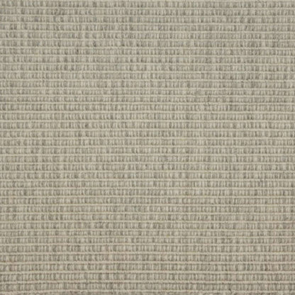 Guru in Greige Carpet