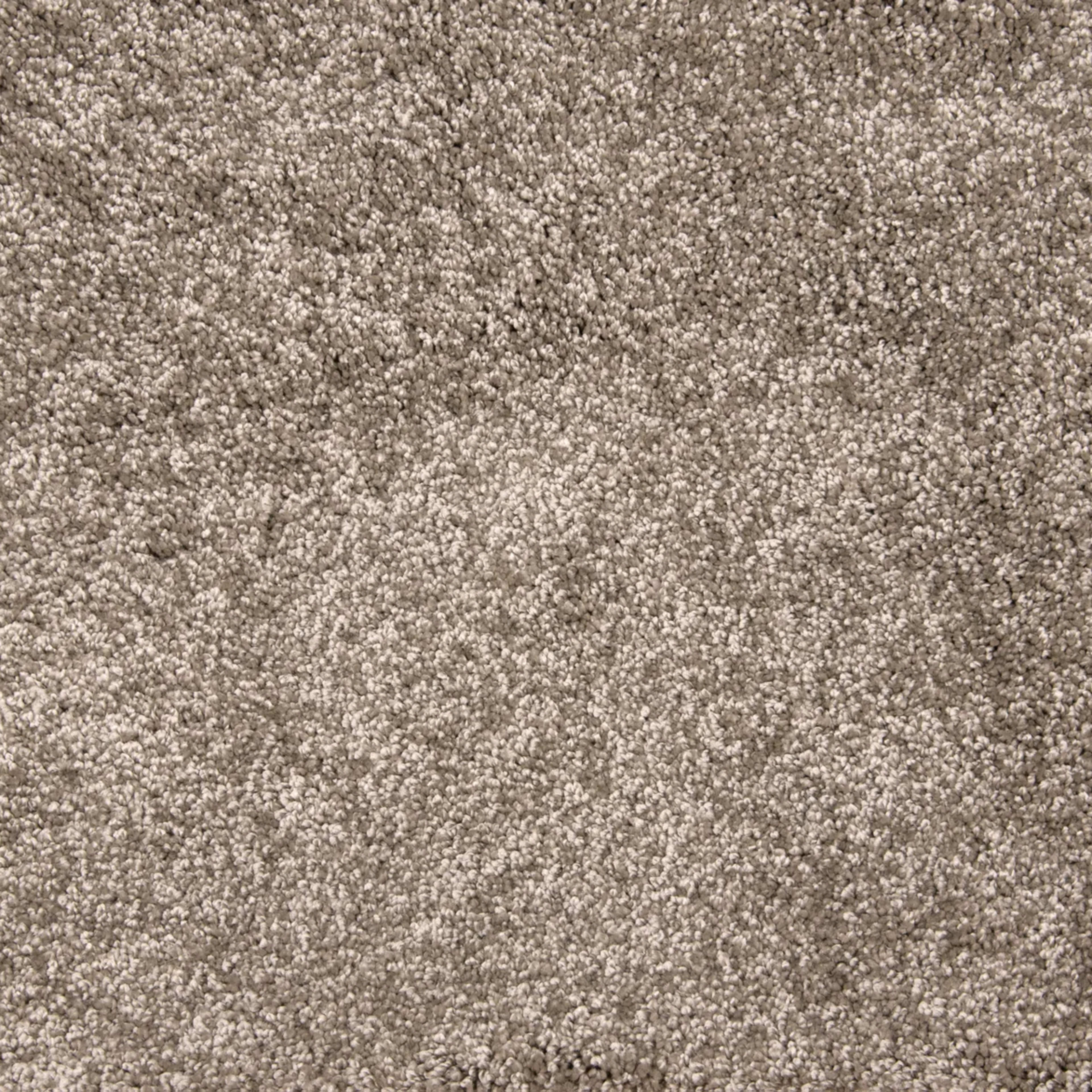 Grail in Mocha Carpet