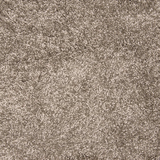 Grail in Mocha Carpet