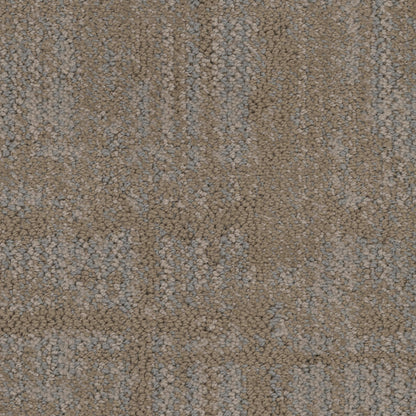 Gridlock in Tundra Carpet