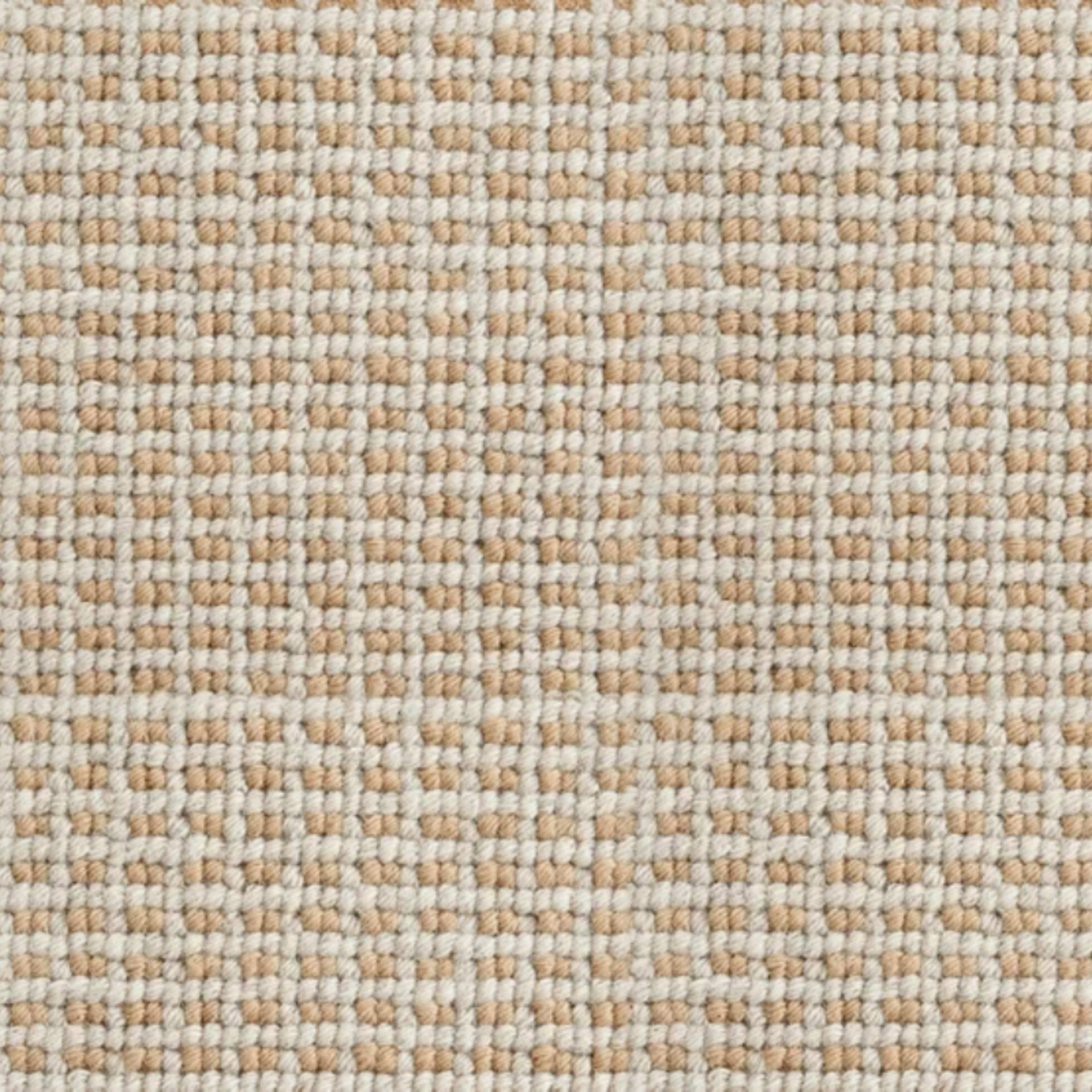 Homeland in Marigold Carpet