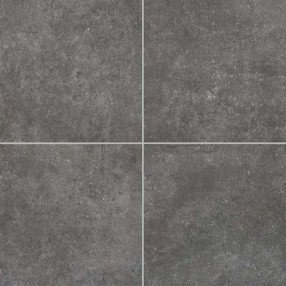 Historic Limestone in Legacy-12x24-Matte Tile