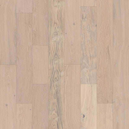 ELEGANCE OAK in Macaroon Hardwood