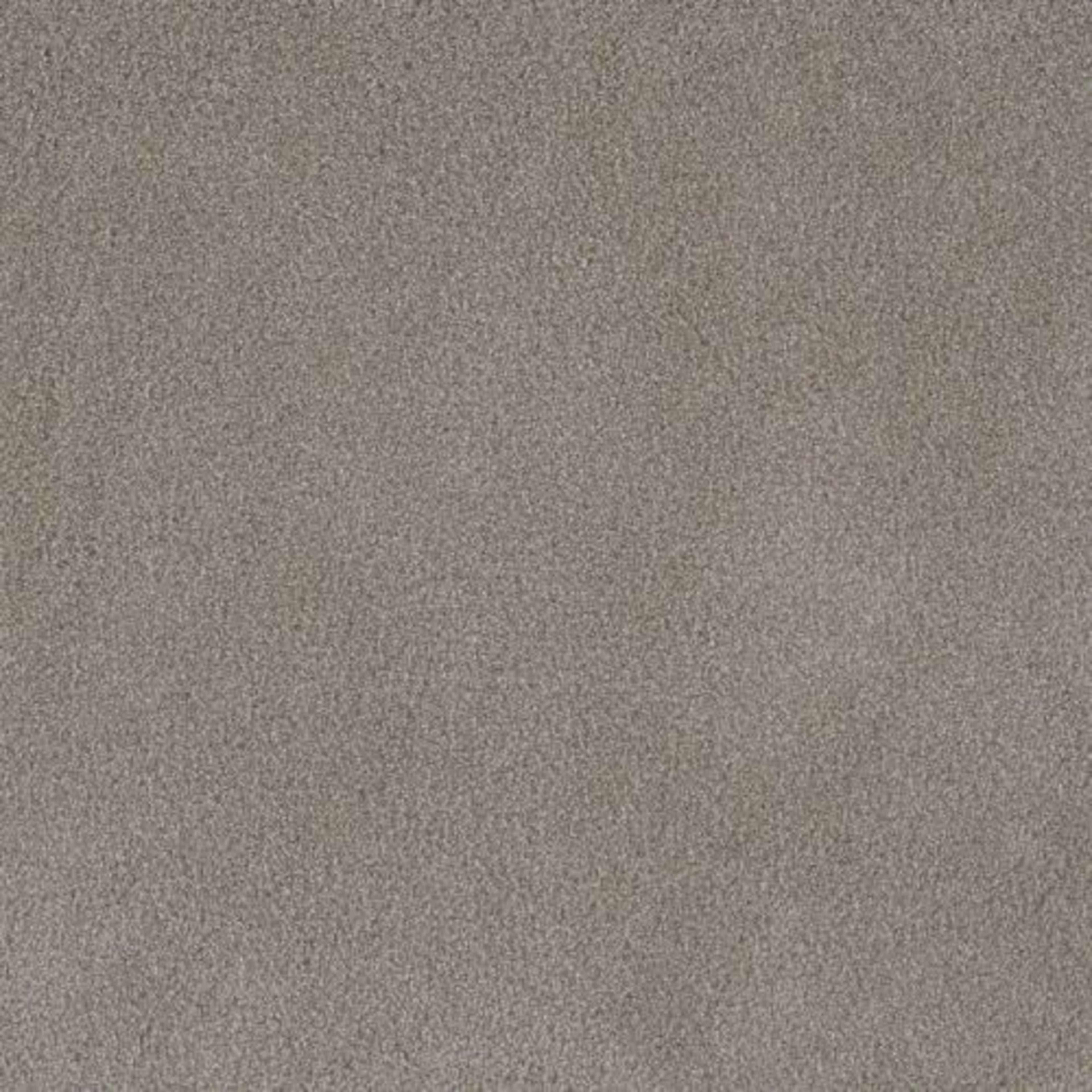PALMETTO II in Havana Carpet