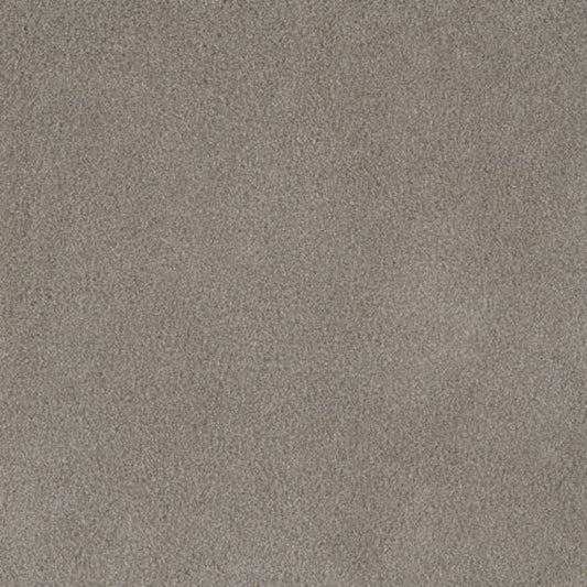 PALMETTO II in Havana Carpet