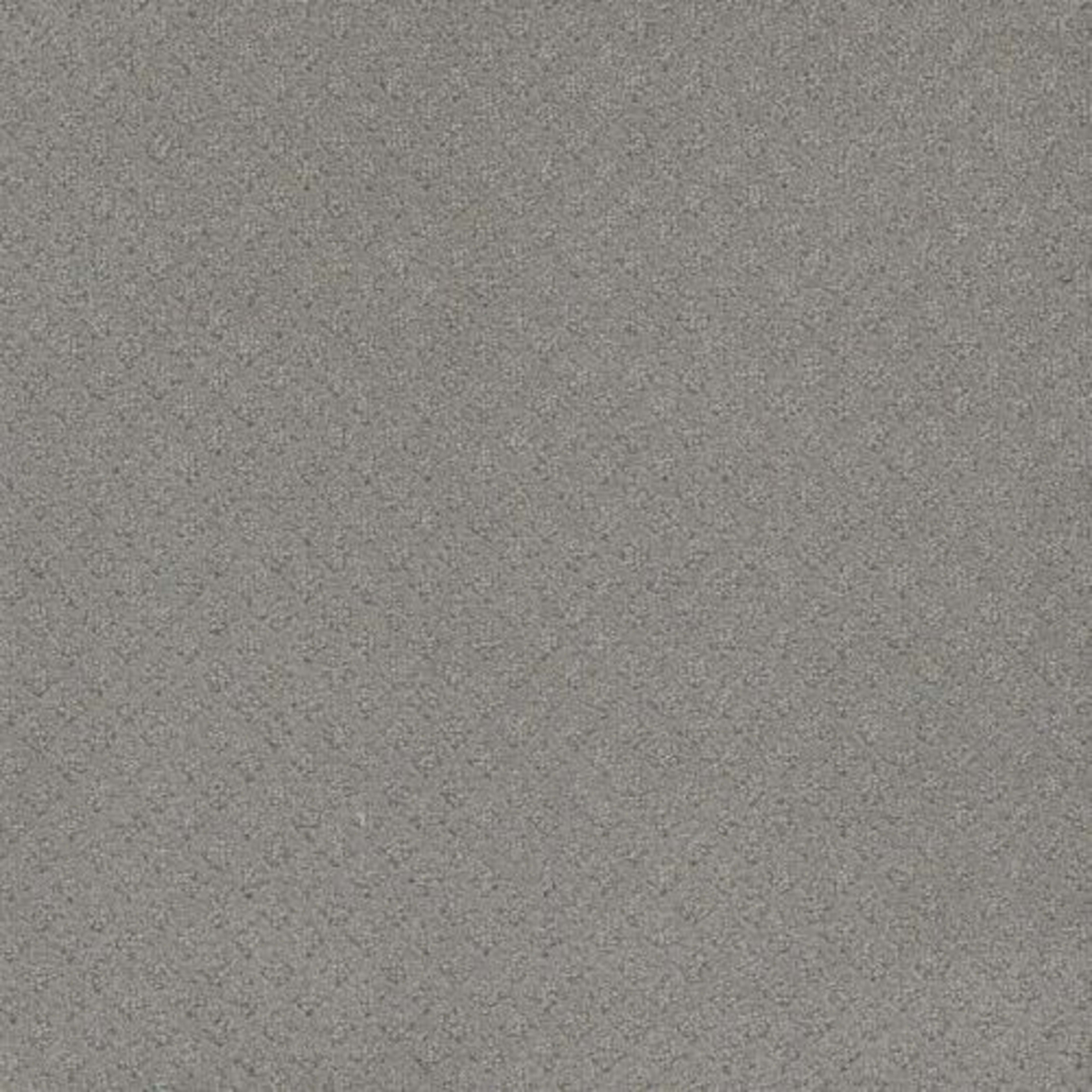 CAPRI in Icefield Carpet