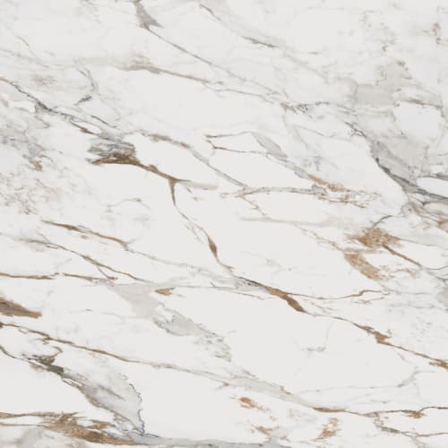 Indulge in Breccia Capraia 36x36