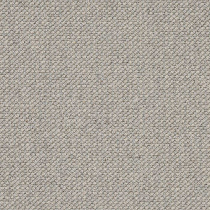 Intention in Ash Carpet