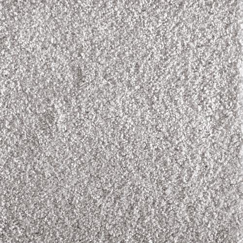 Jazzy in Cloud Carpet