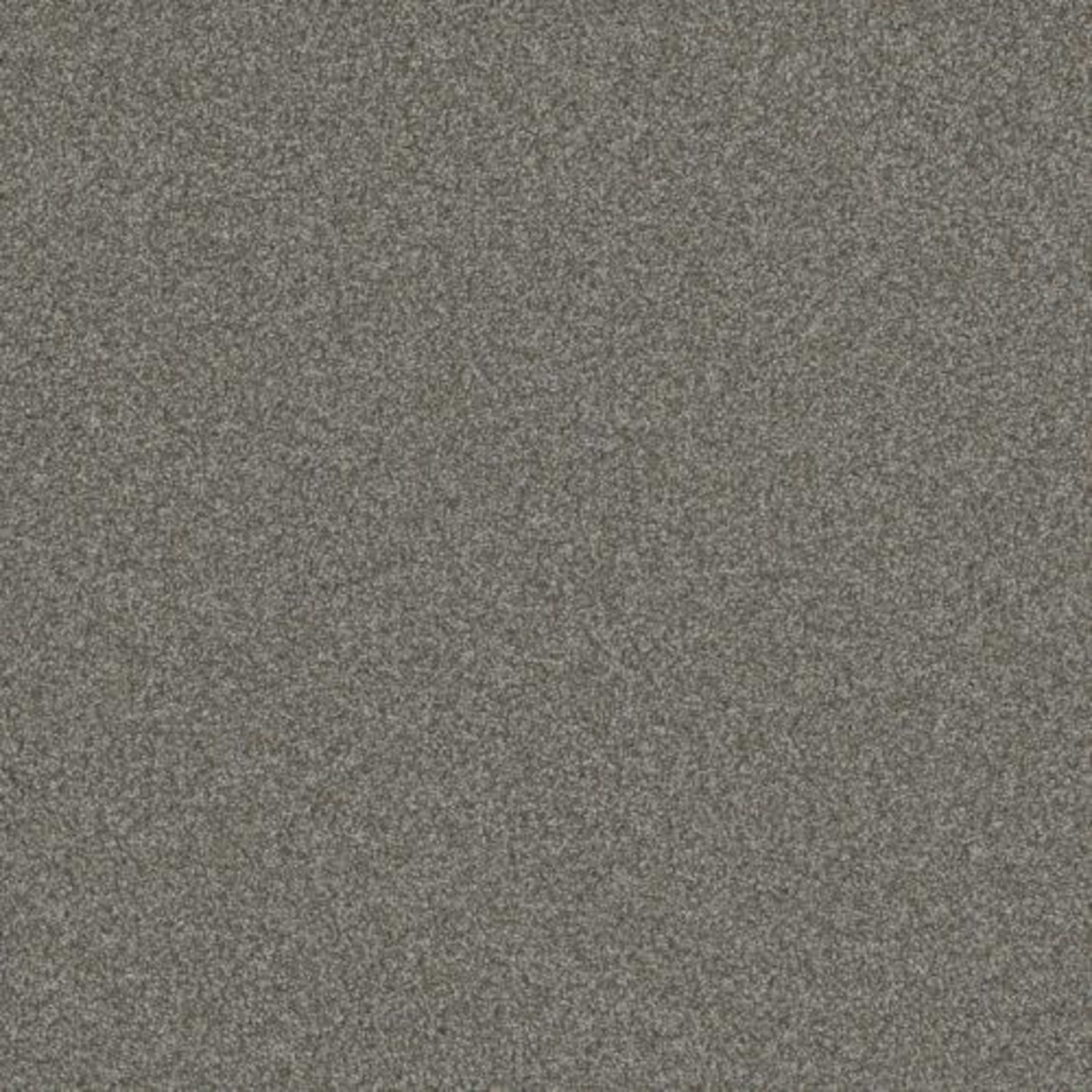 BLAZER III in Jadestone Carpet