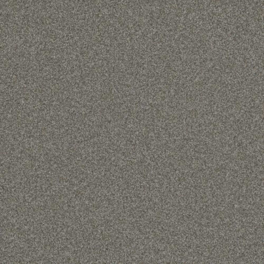 BLAZER III in Jadestone Carpet