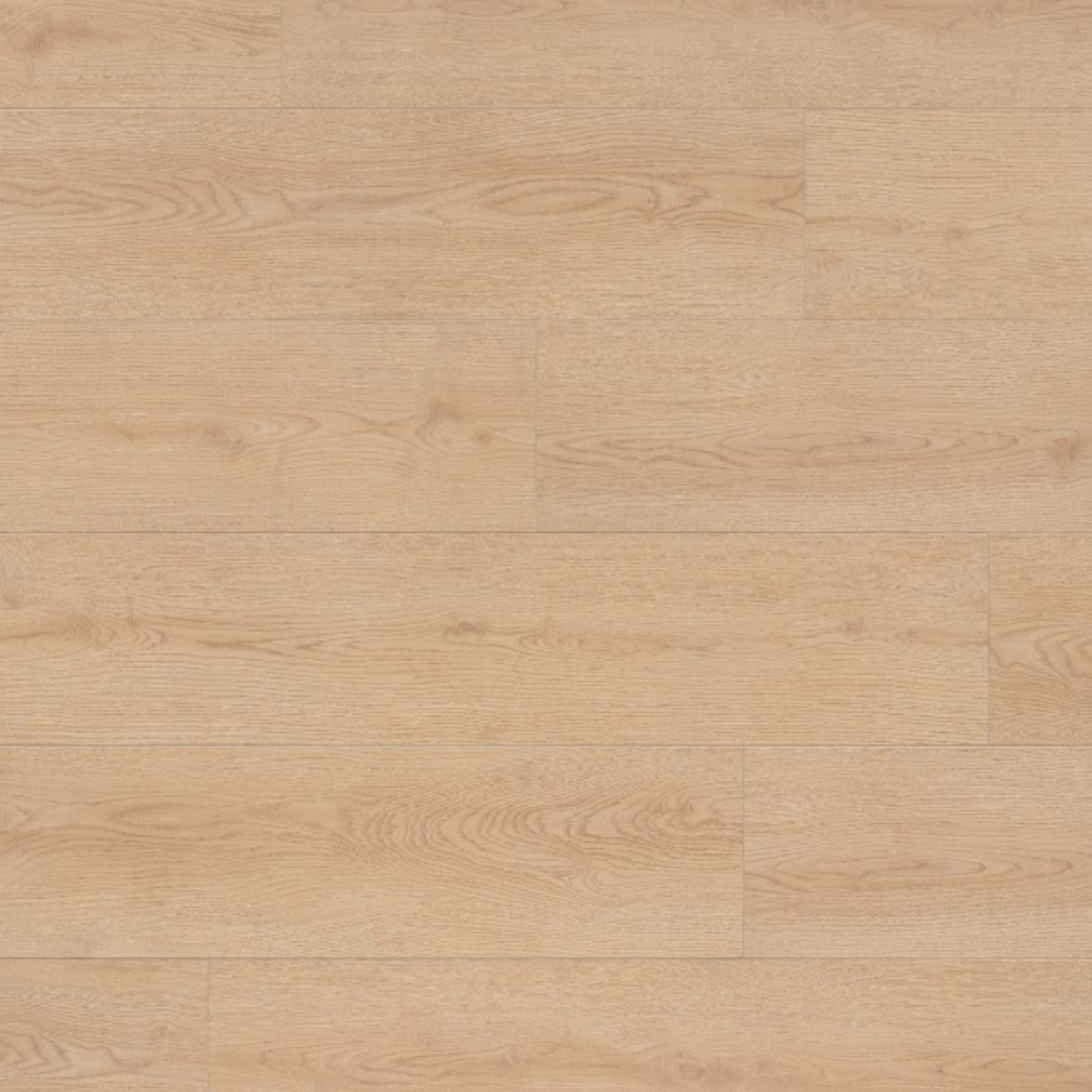Montane Trail in Jessabelle P. Laminate