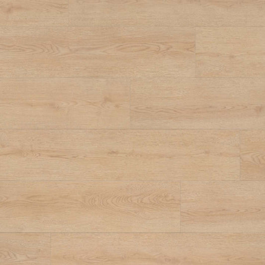 Montane Trail in Jessabelle P. Laminate