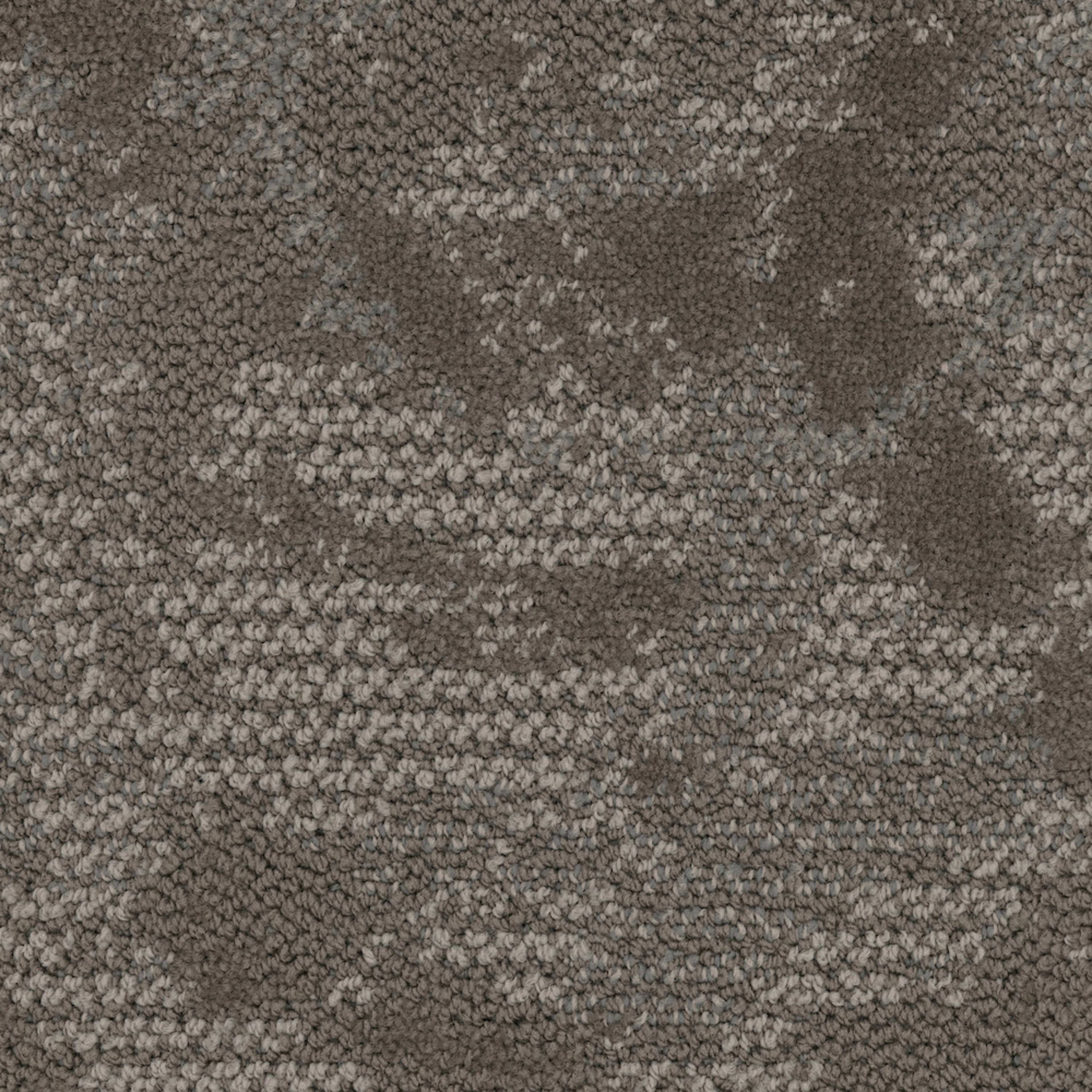 Junction in Birch Carpet