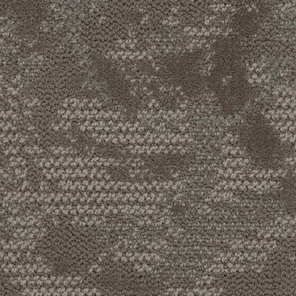 Junction in Birch Carpet