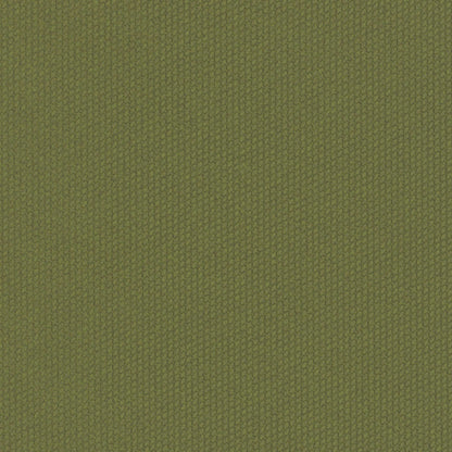 Dart 12x48