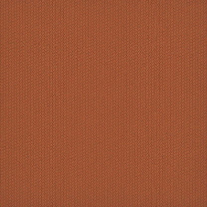 Dart 24x24