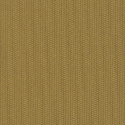 Dart 24x24