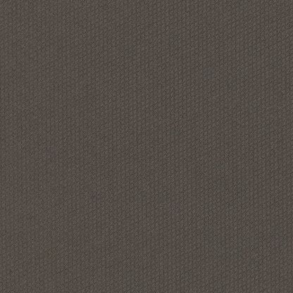 Dart 24x24