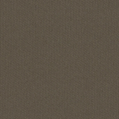 Dart 24x24