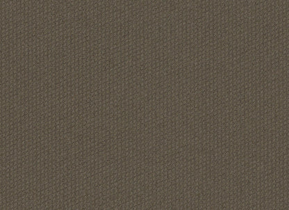 Dart 24x24