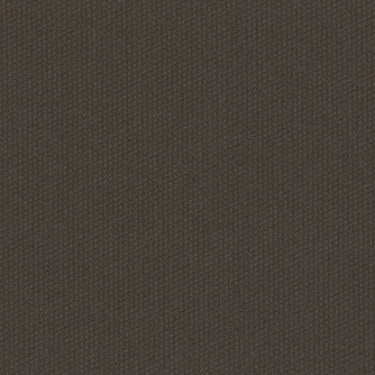 Dart 24x24
