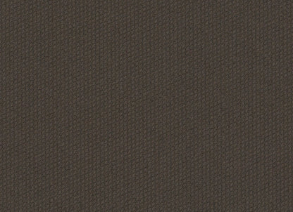 Dart 24x24