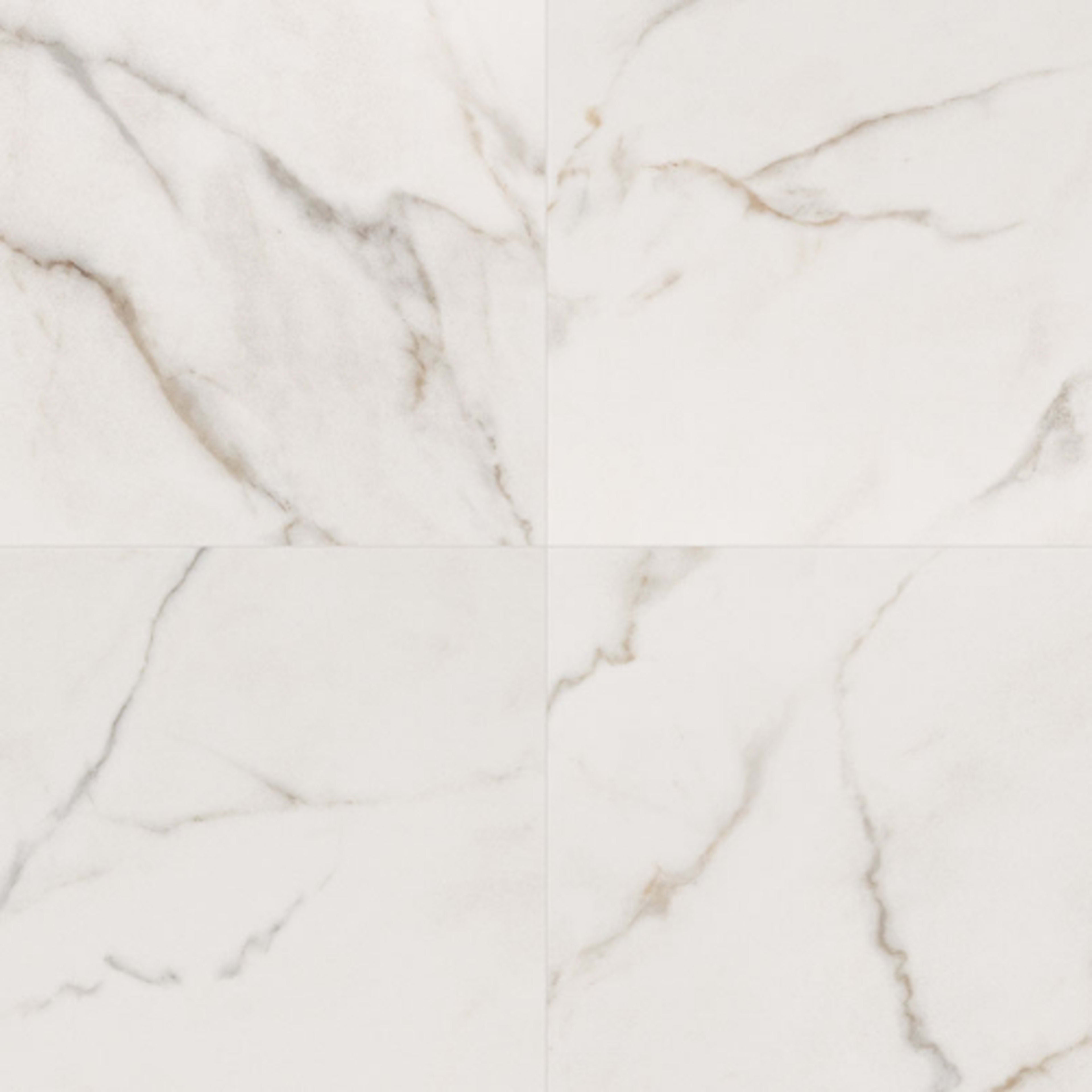 Kaya in Calacatta Lucca - 24x24 Polished Tile