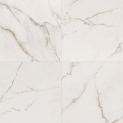 Kaya in Calacatta Lucca - 24x24 Polished Tile