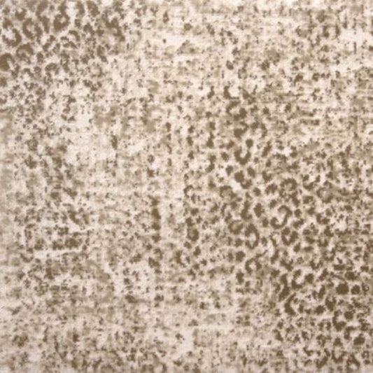 Kiki in Wheat Carpet