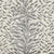 King Tiger in Silver Carpet