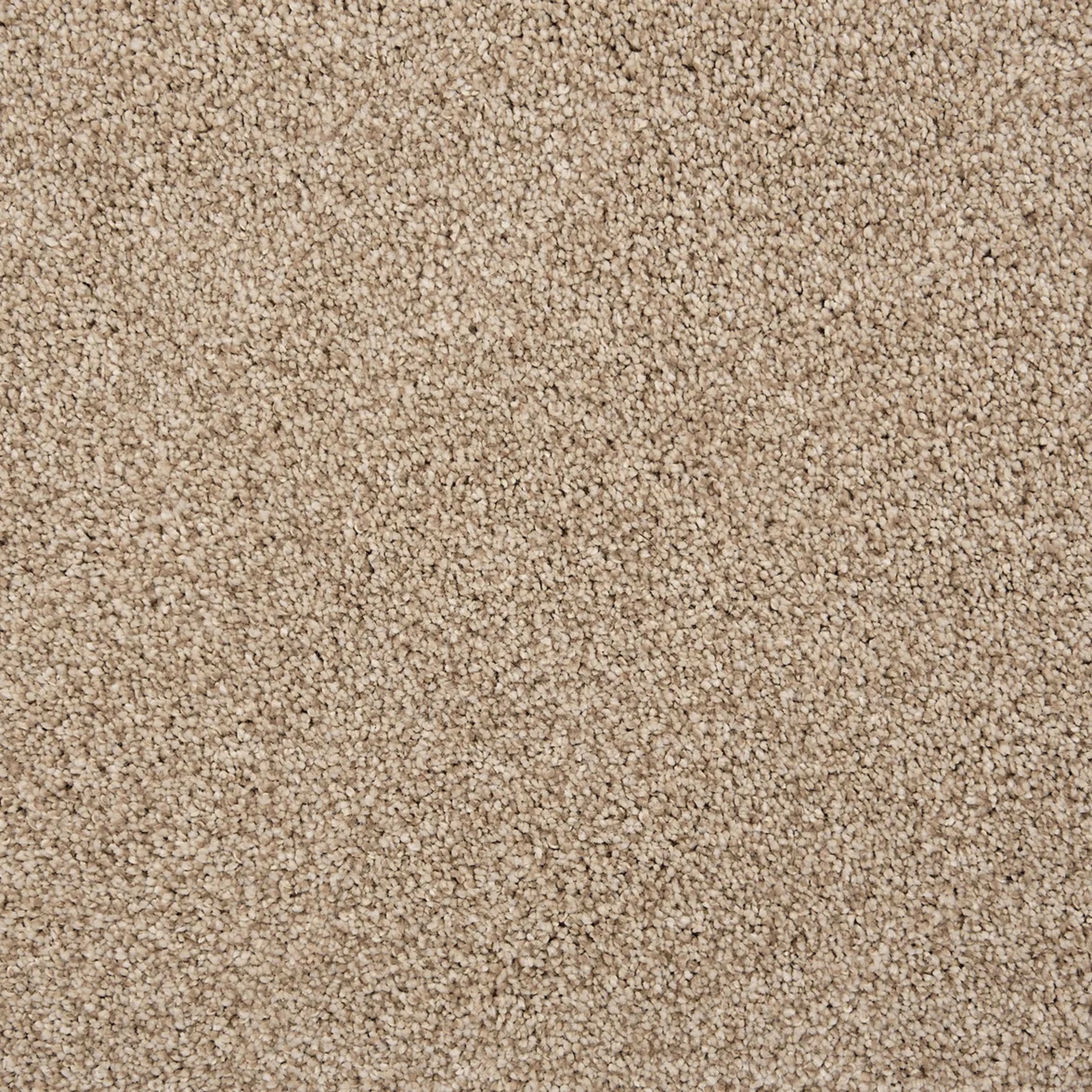 Knights Tale II in Sand Carpet