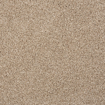 Knights Tale II in Sand Carpet