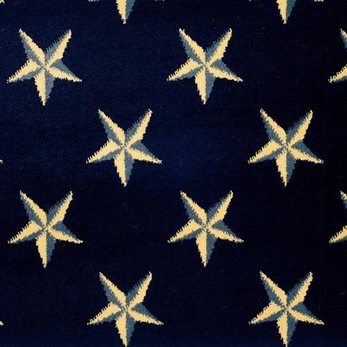 Lake Collection - Lake Ontario in Navy-201
