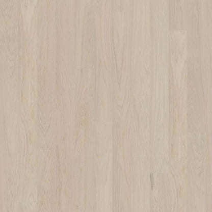 Life Collection in Coconut Cream Wide
