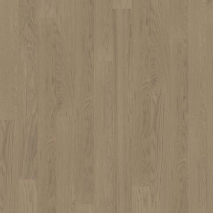 Life Collection in Driftwood Wide